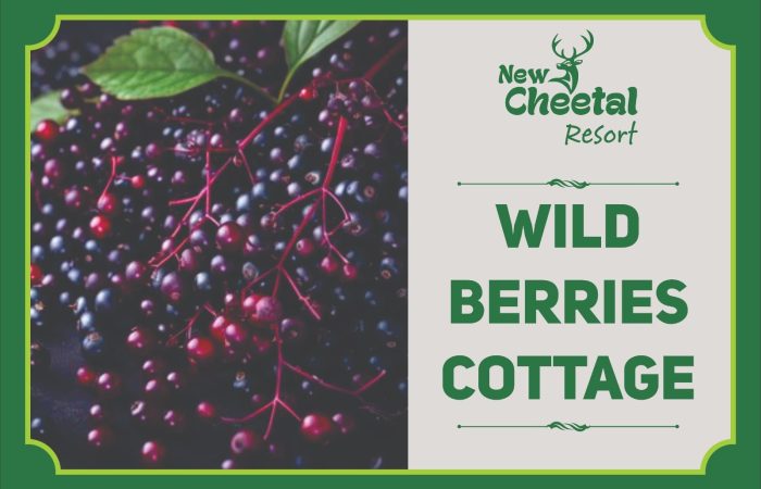 Wild Berries Cottage (1)